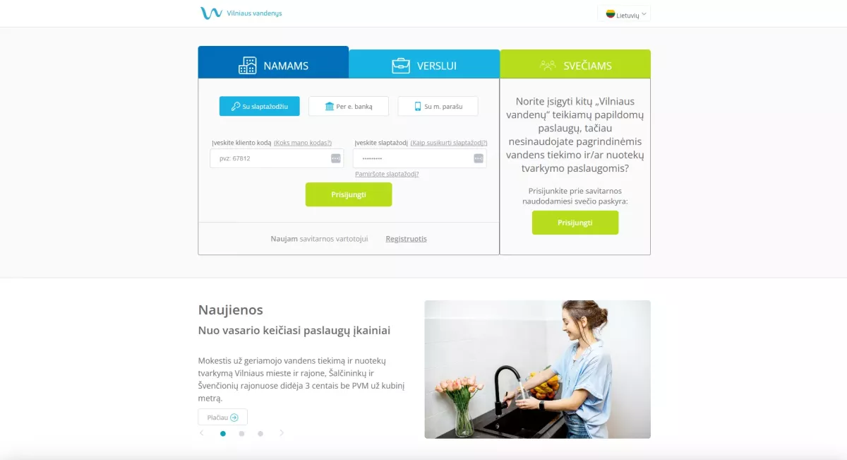 Internetinė svetainė – vv.lt